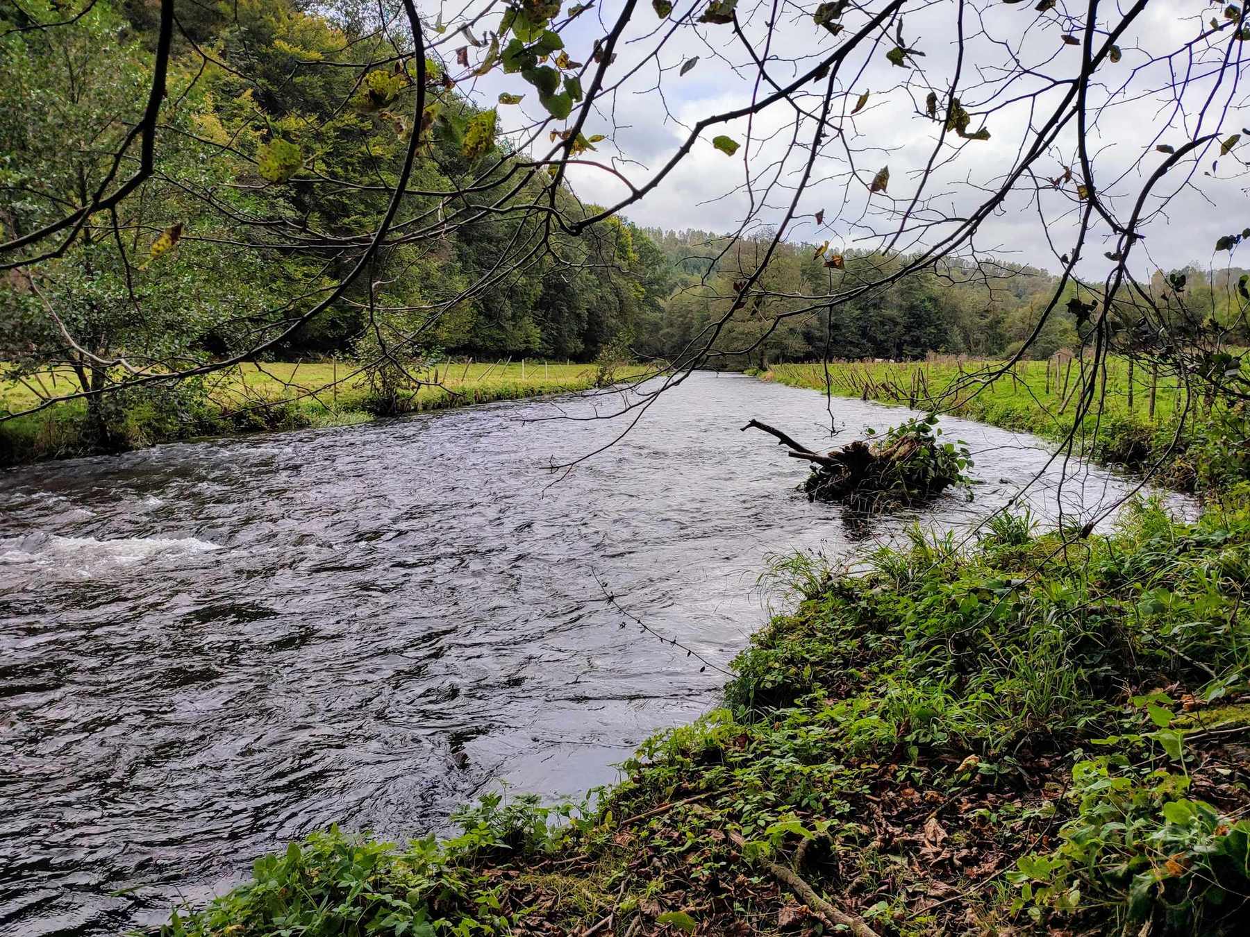 De Salm-rivier